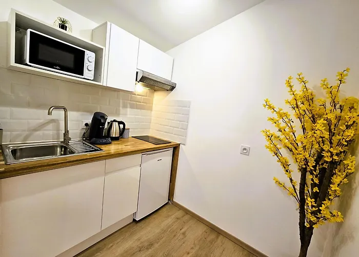 Confort ! Centre-ville, Climatisation, Parking, Wifi, Calme, Tv Daire